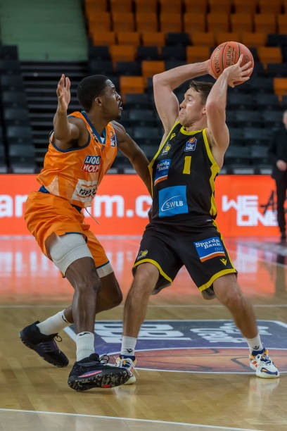 开发提供了 开发提供了